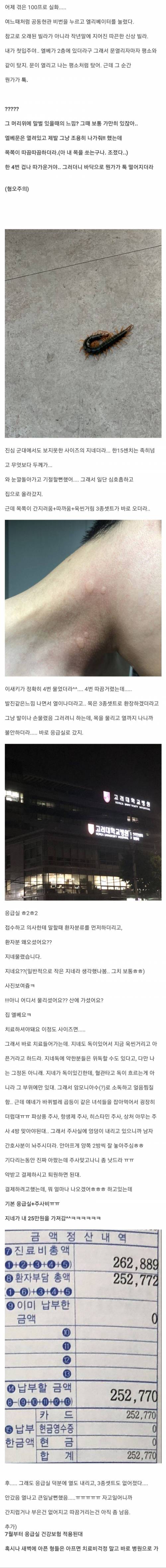 지네한테 물려서 응급실 간 썰.jpg