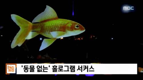 특이점이 온 독일 동물 서커스.jpg