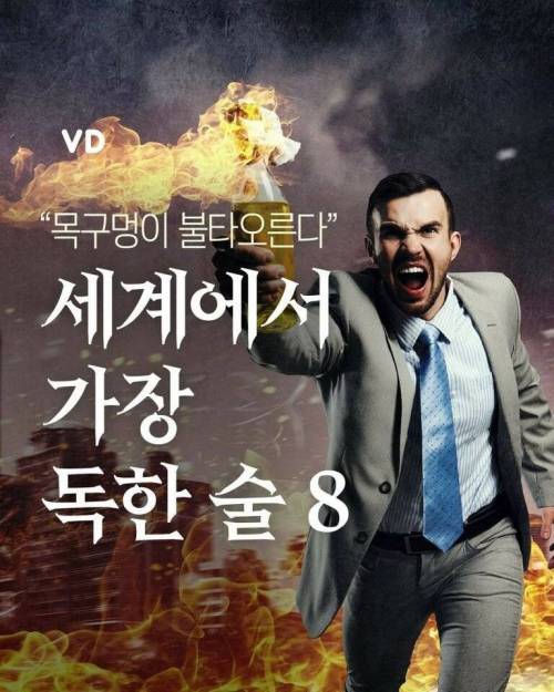 [스압] 세계에서 가장 독한술 랭킹 8.jpg