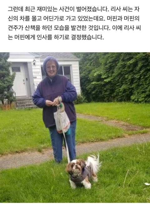 지나가다 애견미용사 만난 강아지