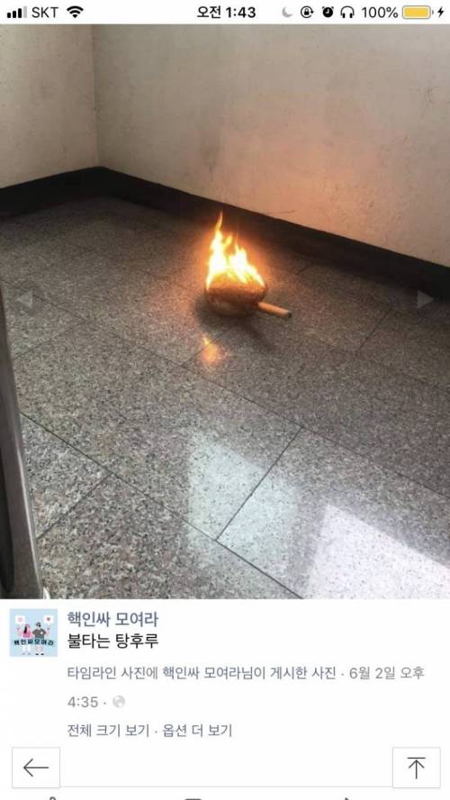 [스압] 기발한 요리대회 출품작.jpg