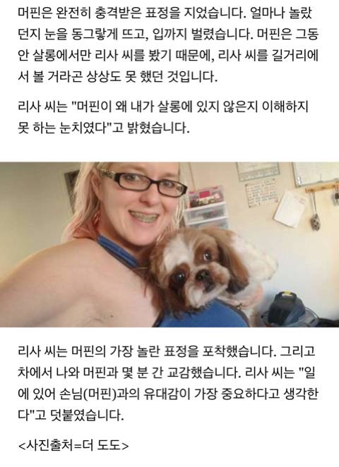 지나가다 애견미용사 만난 강아지