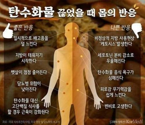 탄수화물을 안먹으면 우리 몸에 생기는 일