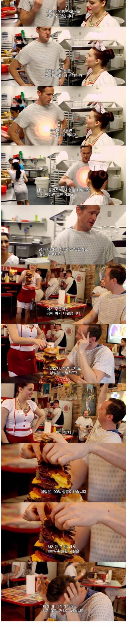 [스압] 전자렌지에 개미를 넣고 돌리면?