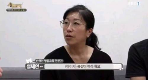 [스압] 아이 앞에서 개 혼내지 마세요.jpg