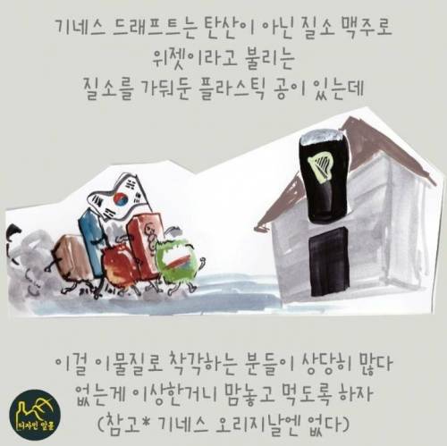 캔으로 마시면 안되는 맥주.jpg