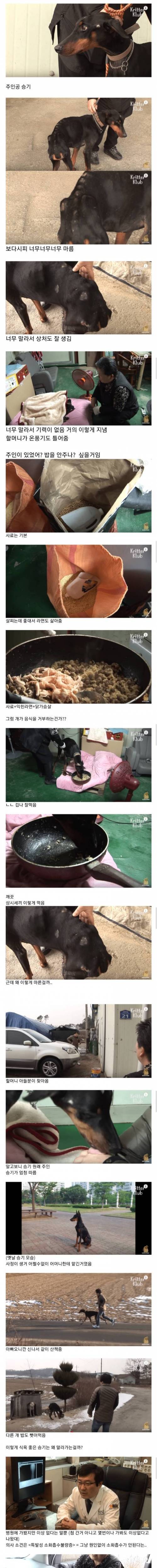[스압] 아무리 먹어도 살이 안찌는 개.jpg
