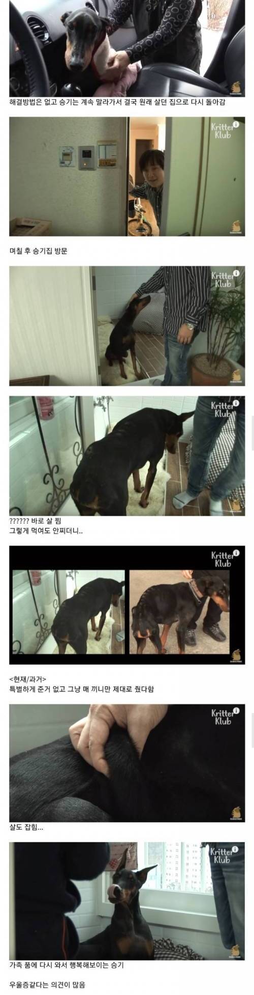 [스압] 아무리 먹어도 살이 안찌는 개.jpg