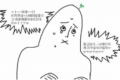 입사 초기와 현재.jpg