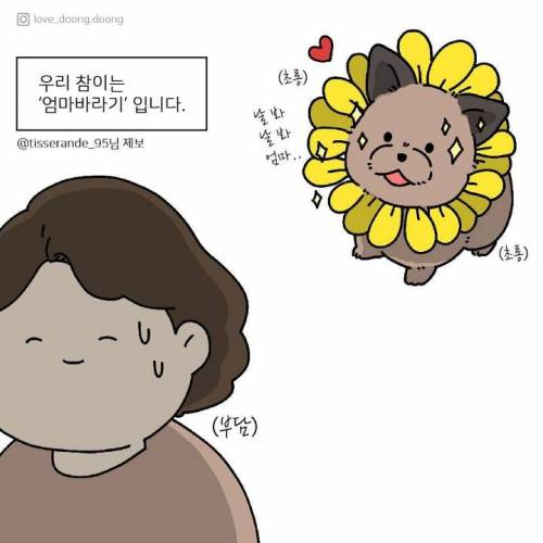 엄마바라기 (feat. 배추).jpg