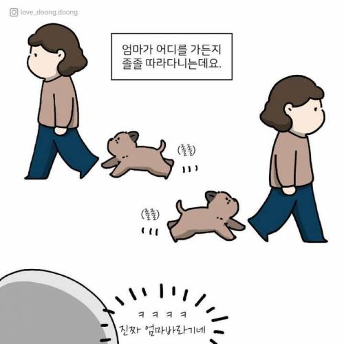 엄마바라기 (feat. 배추).jpg