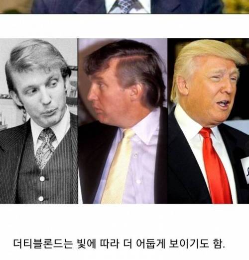 [스압] 서양에서도 드물다는 머리색.jpg