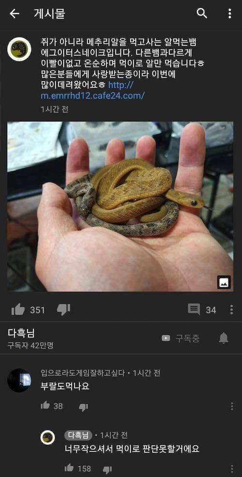 알을 주식으로 삼는 뱀.jpg