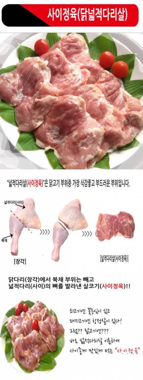 맘스터치 싸이버거 이름의 비밀.jpg