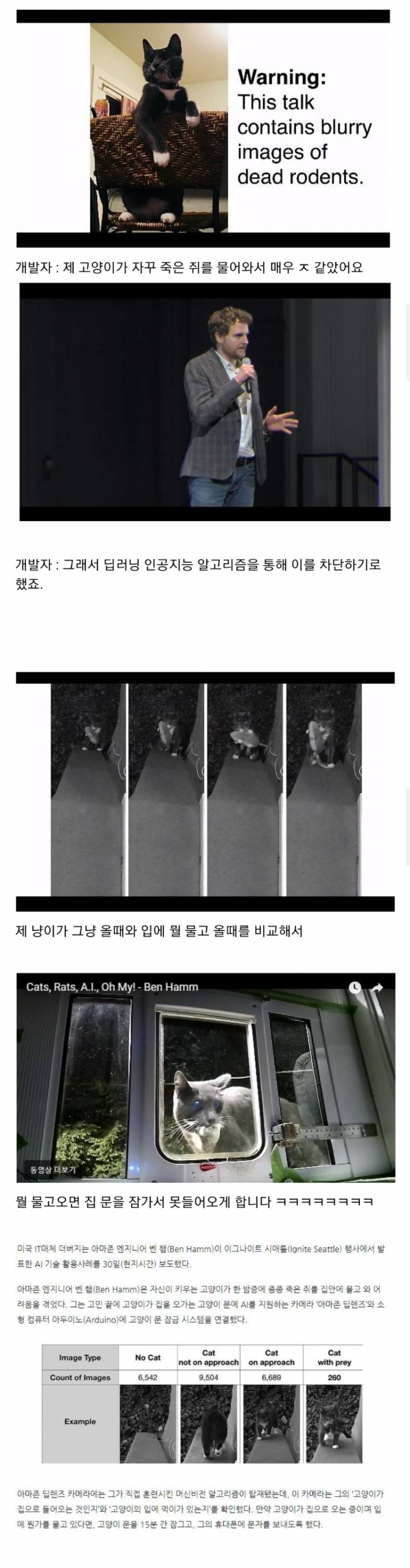 죽은 쥐를 물어오는 고양이.jpg