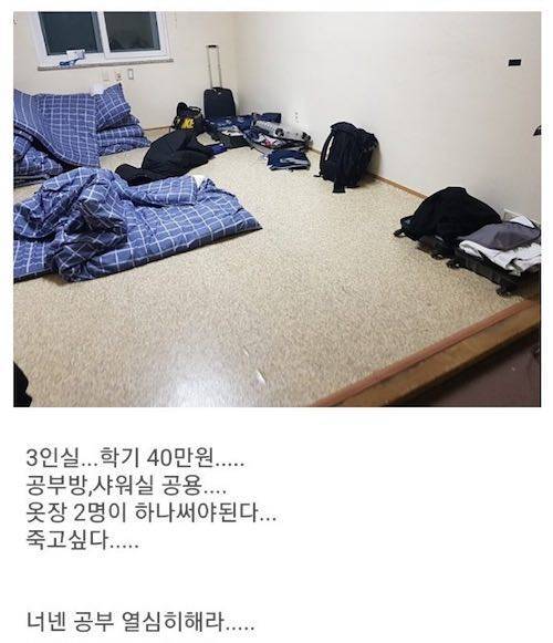 공포의 대학 기숙사.jpg