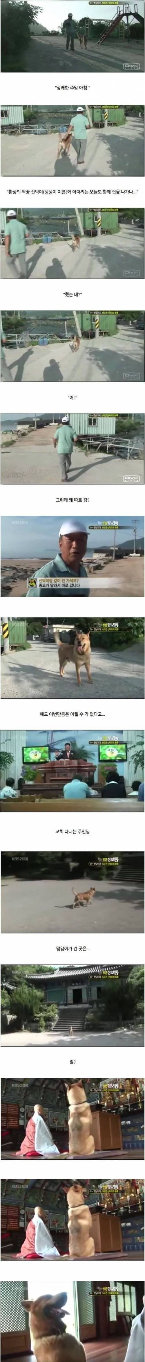 반려견의 종교 자유를 보장해주는 참주인.jpg