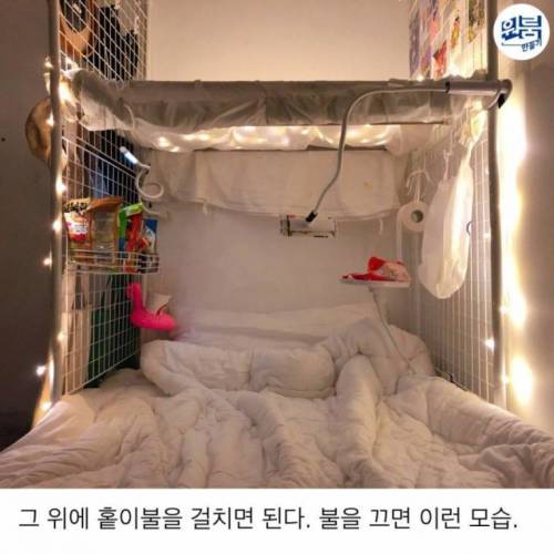 여름을 버텨낼 침대 피서지.jpg