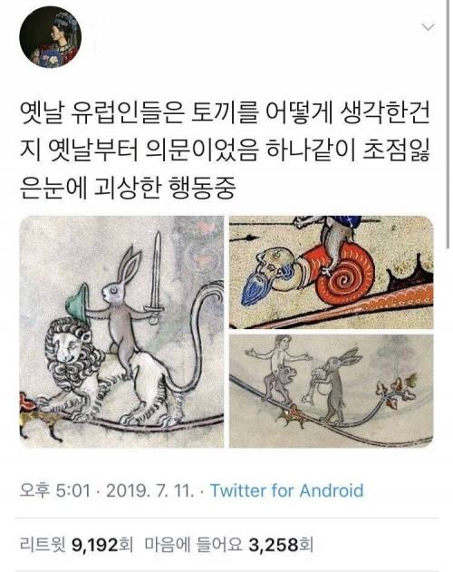 옛날 유럽사람들이 토끼를 괴상하게 그린 이유.jpg