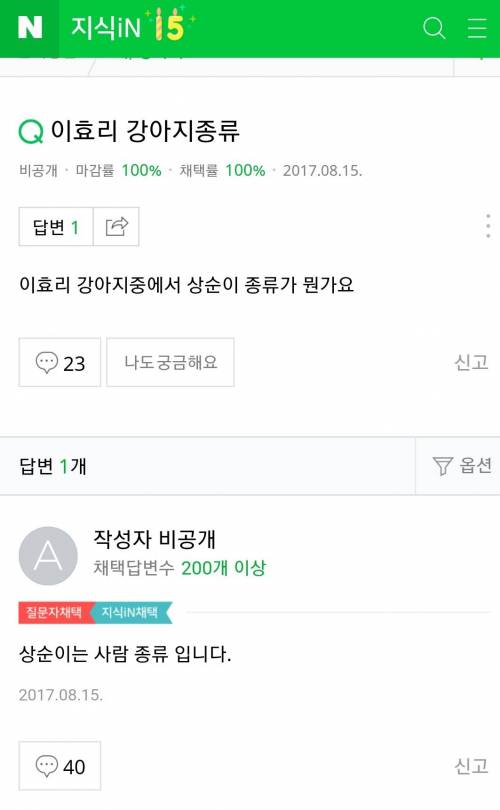 이효리 강아지 상순이 종류가 뭔가요.jpg