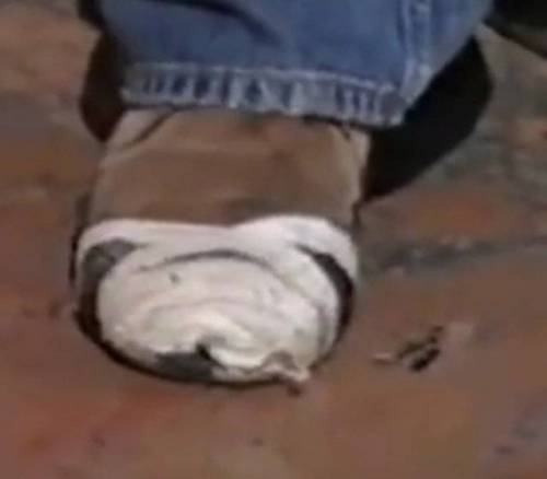 대충 살자.... 신발은 발만 감싸면 되는 키아누 리브스처럼.....jpg