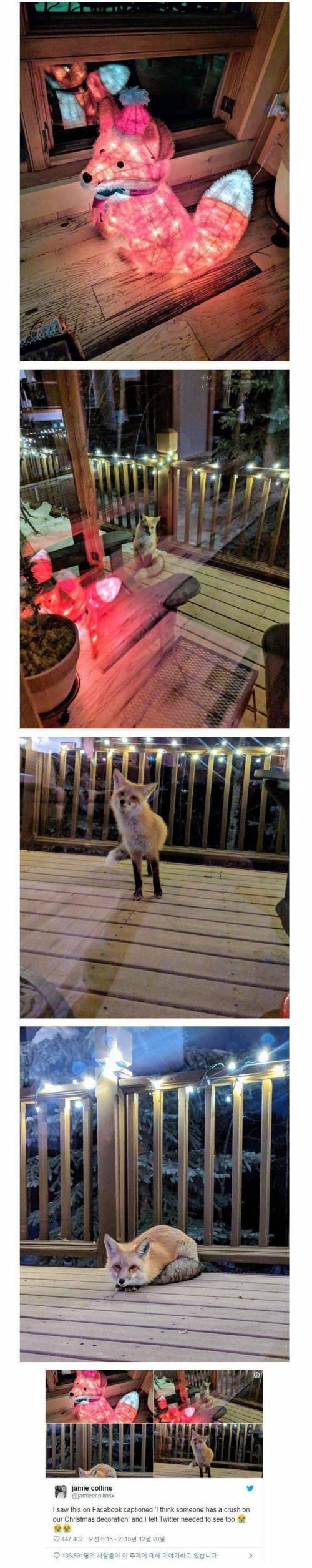 창가에 여우조명을 놔둬봤다.jpg