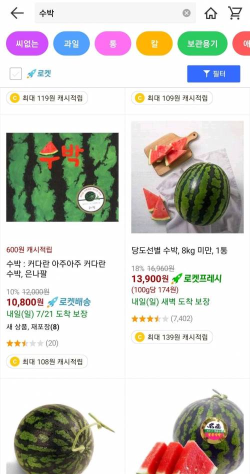 쿠팡에서 판매중인 수박.jpg