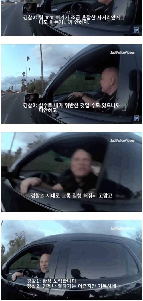[스압] 경찰서장을 멈춰 세운 미국 경찰.jpg