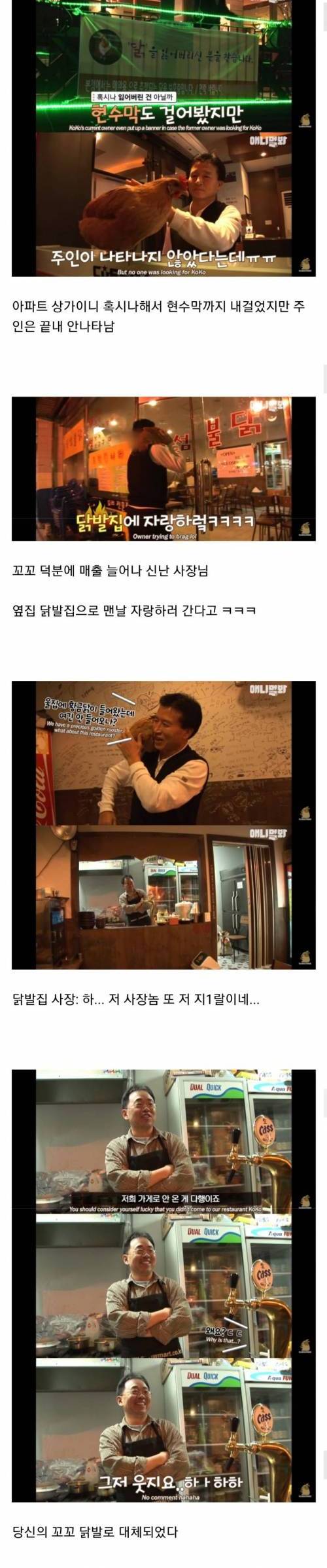 [스압] 치킨집에 살고있는 살아있는 치킨.jpg