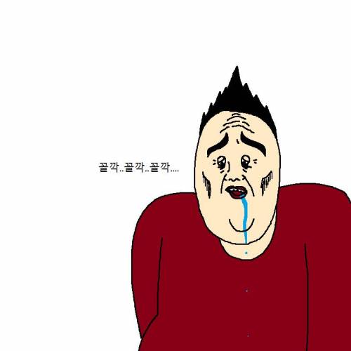 [스압] 고양이랑 같이 다이어트하는 만화.jpg