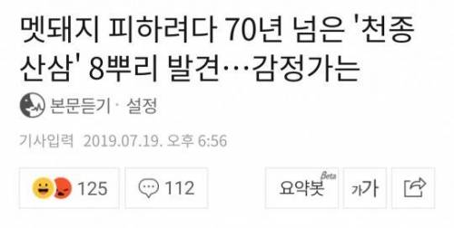 아니 아저씨 저기로 가보라니까.jpg