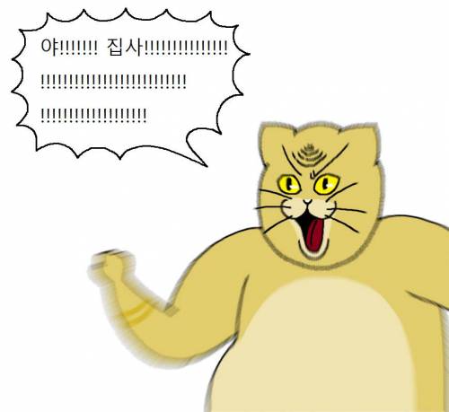 [스압] 고양이랑 같이 다이어트하는 만화.jpg
