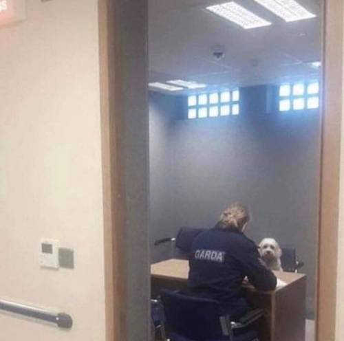개감동.jpg