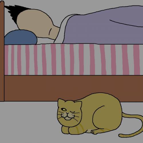 [스압] 고양이랑 같이 다이어트하는 만화.jpg