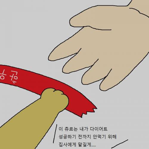 [스압] 고양이랑 같이 다이어트하는 만화.jpg