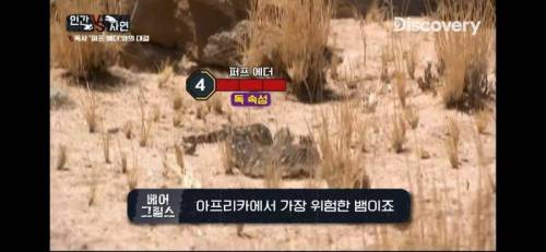 디스커버리 유툽 근황.jpg