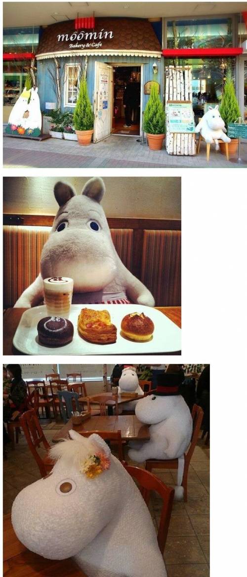 혼밥족들을 위한 카페 사장님의 배려.jpg