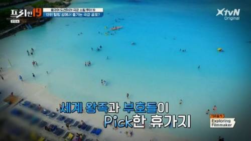 [스압] 상어와 함께 수영할 수 있는 곳.jpg