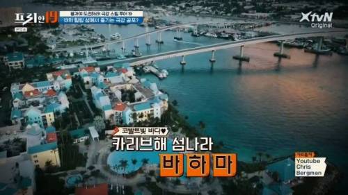 [스압] 상어와 함께 수영할 수 있는 곳.jpg