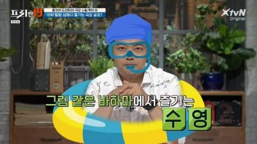 [스압] 상어와 함께 수영할 수 있는 곳.jpg