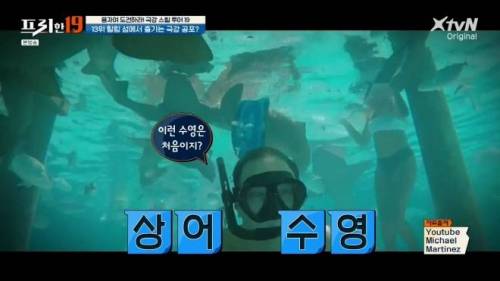 [스압] 상어와 함께 수영할 수 있는 곳.jpg