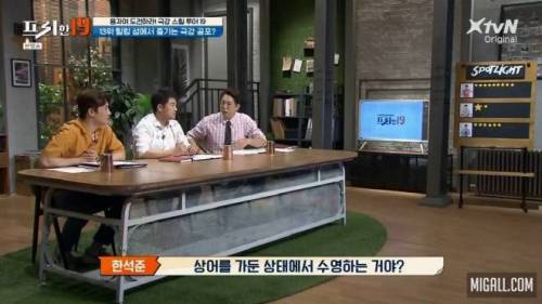 [스압] 상어와 함께 수영할 수 있는 곳.jpg