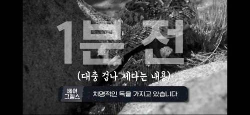 디스커버리 유툽 근황.jpg