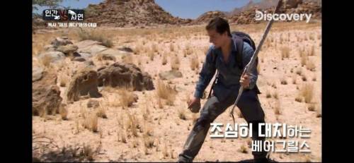 디스커버리 유툽 근황.jpg