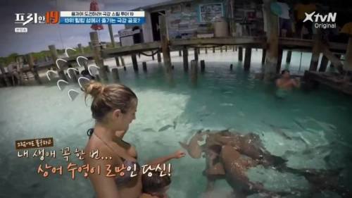 [스압] 상어와 함께 수영할 수 있는 곳.jpg