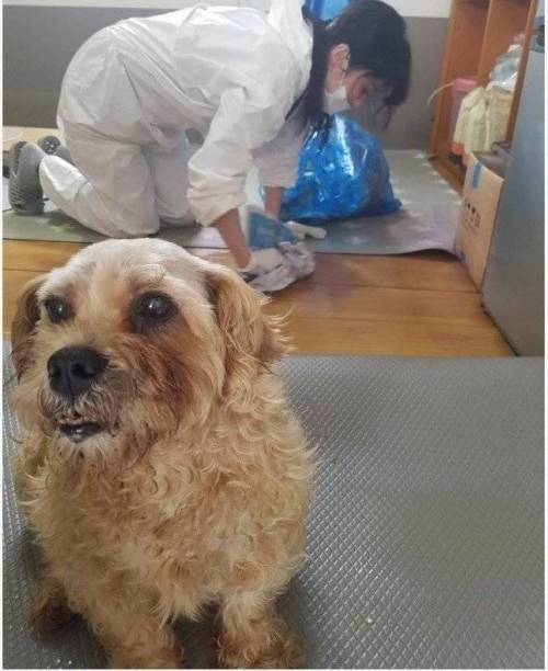 [스압] 장나라 클래스.jpg