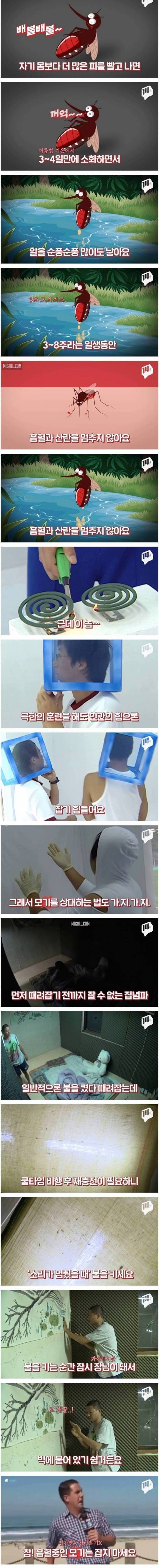 [스압] 모기가 지구상에서 가장 위험한 동물인 이유
