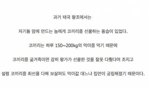 과거 태국 왕조의 벌칙.jpg