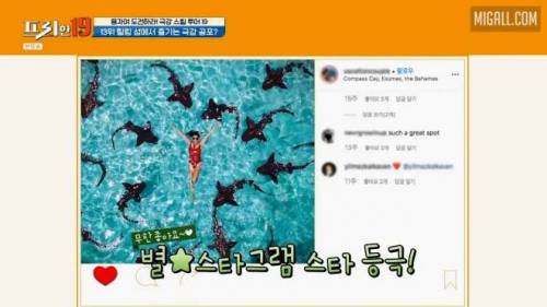 [스압] 상어와 함께 수영할 수 있는 곳.jpg