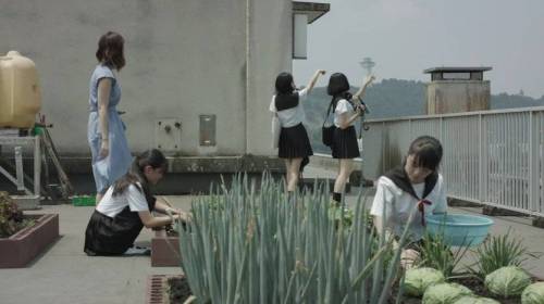 영화 속 양배추 논란.jpg
